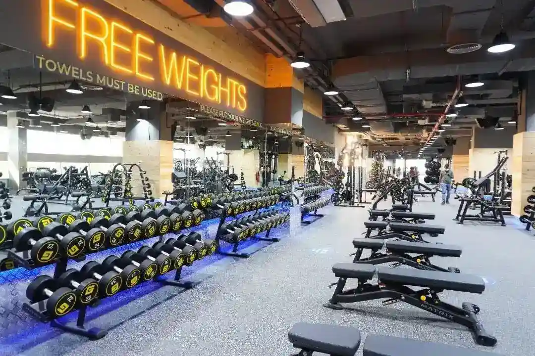 Gymnation Motor City